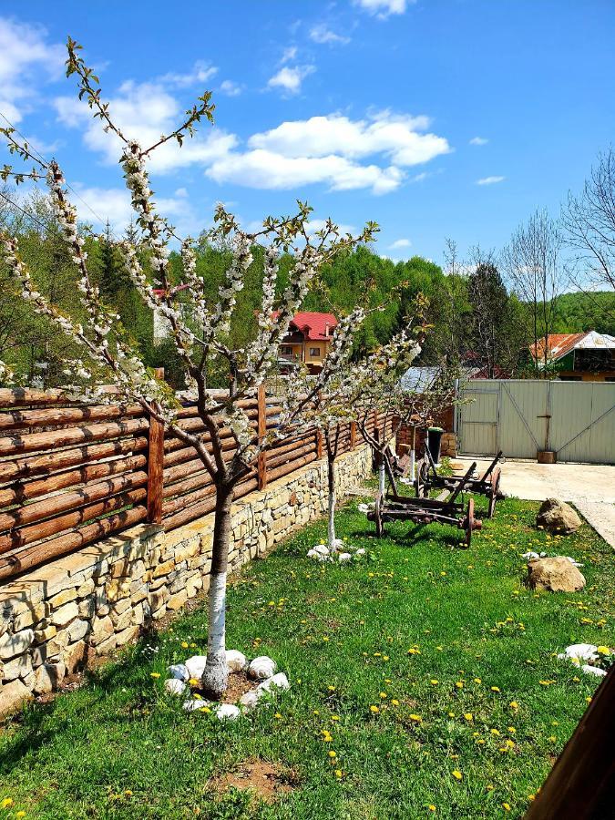 Rooms Poienita Сленік-Молдова Екстер'єр фото